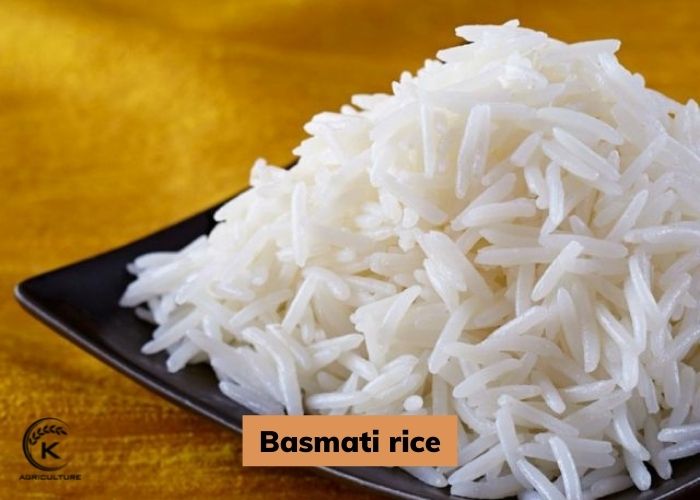 Basmati-rice.jpg