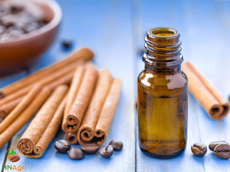 how-to-find-a-reliable-cinnamon-oil-manufacturers-2