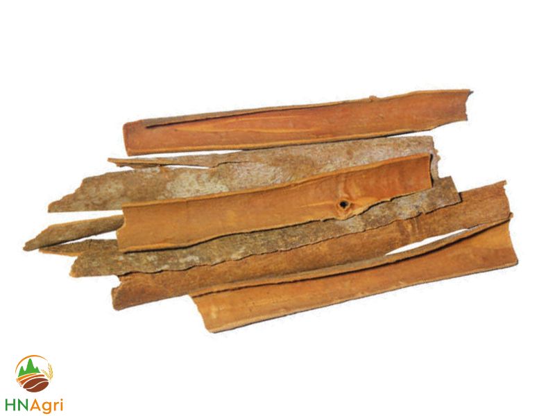 the-extensive-properties-of-split-cinnamon-1