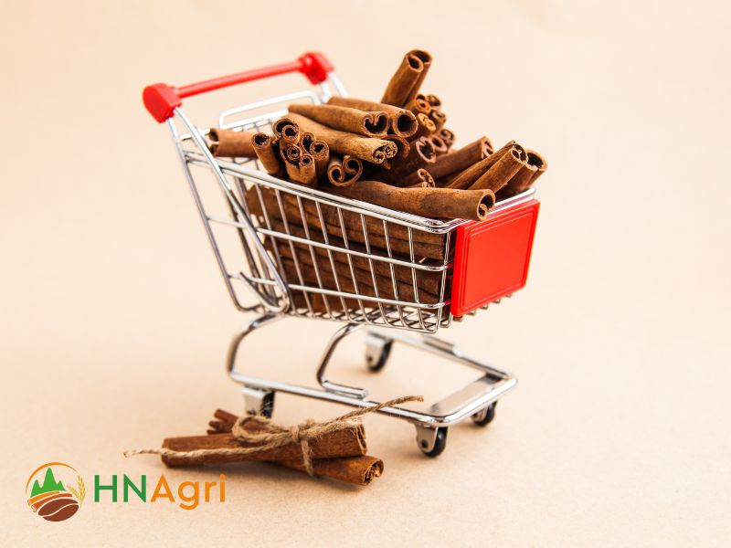 a-comprehensive-guide-to-cinnamon-sticks-types-and-wholesale-options-3