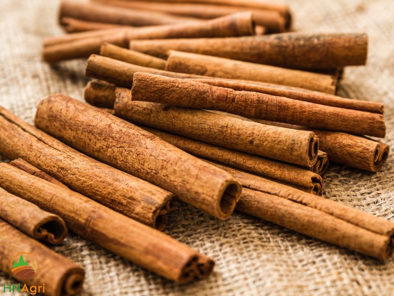 premium-vietnamese-cinnamon-sticks-you-cannot-ignore-1