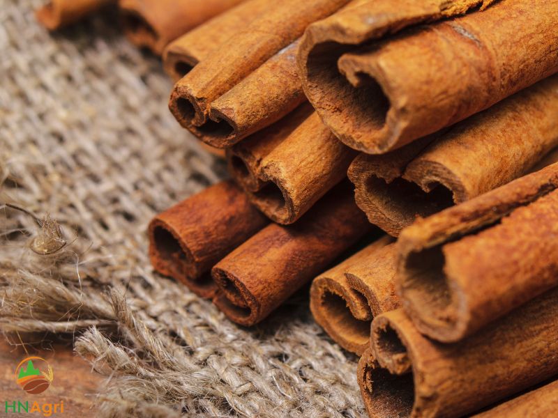premium-vietnamese-cinnamon-sticks-you-cannot-ignore-2