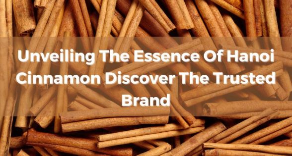 unveiling-the-essence-of-hanoi-cinnamon-discover-the-trusted-brand