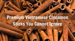 premium-vietnamese-cinnamon-sticks-you-cannot-ignore