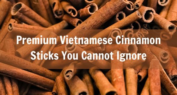 premium-vietnamese-cinnamon-sticks-you-cannot-ignore